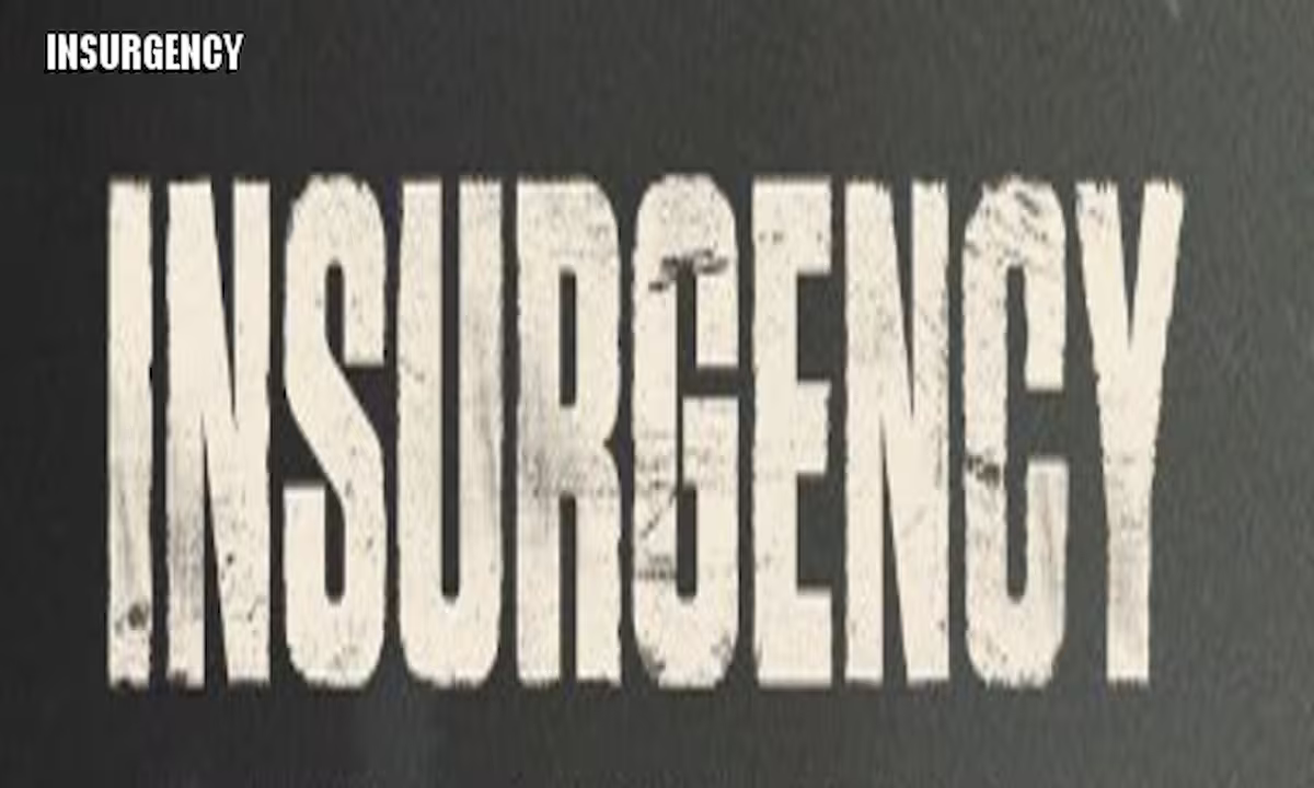 Review Insurgency Early Access HartBrown