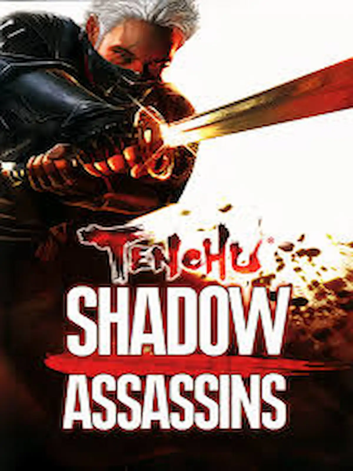 Tenchu Shadow Assassins Console Gaming HartBrown